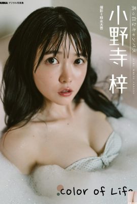 [小野寺梓] Die vollbusigen Brüste des Sakura-Mädchens lassen sich nicht verbergen, egal wie eng ihre Tasche ist, und ihre Figur ist völlig befreit (21P)