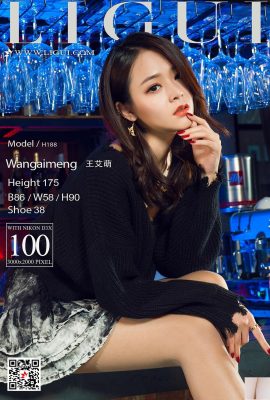 [Ligui] 20180127 Internet-Beauty-Model Wang Aimeng [102P]