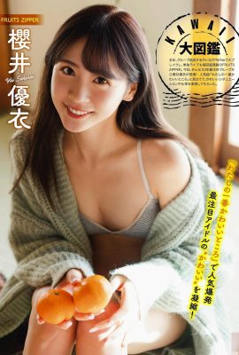 (Sakurai Yui) Es ist so cool, die perfekten Brüste der Schönheit zu sehen, weiß und prall (9P)