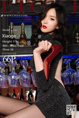(Ligui Internet Beauty) 20180421 Model Schöne Beine in schwarzen Strümpfen in Xiao Ges Bar (67P)