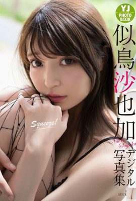 (Nitori Sayaga) Sie hat ein wunderschönes Gesicht und eine unwissenschaftliche Figur mit großen Brüsten, die äußerst verlockend ist (27P)