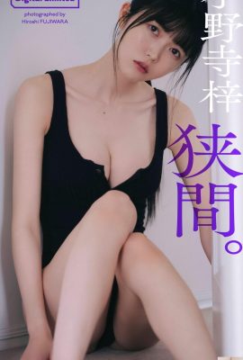 (Azusa Onodera) Ein Foto eines schönen Mädchens mit weißer und zarter Haut, das so etwas trägt, ist ein Foul (21P)