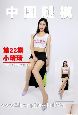 (ZGTM) Chinesisches Beinmodell 05.10.2017 Nr.022 Xiao Qiqi (26P)