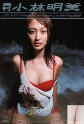 Akemi Kobayashi (Fotoalbum) (Monatlich シリーズ028) – Monatlich 028 (57P)