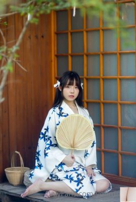 Sechs Geschmacksrichtungen Imperial Sauce „Summer Kimono“ (73P)