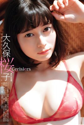 (Okubo Sakurako) Sie hat große Brüste und sieht im Bikini gut aus (11P)