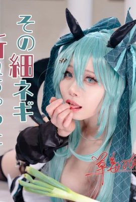 Hatsune Miku: Ist diese dünne Frühlingszwiebel kaputt gegangen?