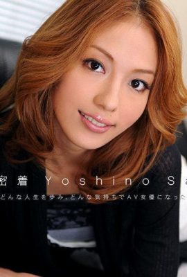 Sally Yoshino „Naked Resume Nr. 9 (13P)“