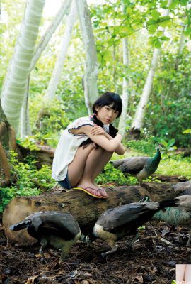 (Marina Nagasawa) Das junge kleine Pferd ist voll und rund und voller Körper und heiß (22p)