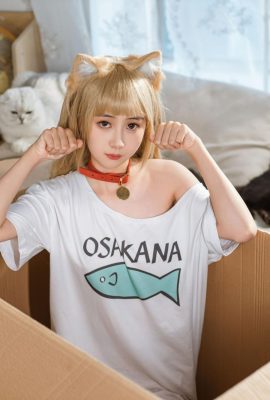 Goldfisch Kinngyo „Katze“ (57p)