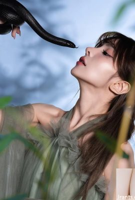 Herz kritischer Streik! „Schaf Yang“ charmant und durchdringt die Seele (10p)