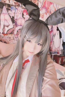 (Dumm) Mai Sakurajima Mai (27p)