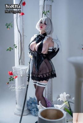 (Internetsammlung) Tiny Asa Yorha-2B (85p)
