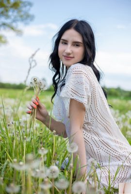 Sasha Jane – Löwenzahn (105p)