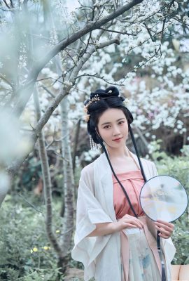 (Nationales Modell menschlicher Körper) Nnian“March Banyan“ (51p)