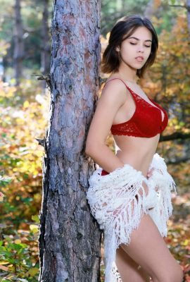 Dzhili – Nature's Peak (113p)