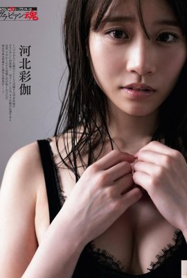 (Hebei Caijia) Die Augen der heißen Göttin sind charmant und sexy (10p)