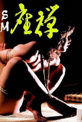 Chie Abe Pornostar in U-Books SM Zazen (38p)