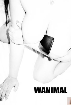 (Wang Dongs Arbeit) Wang Dong) WANIMAL Tumblr-Fotosammlung (105) (50P)